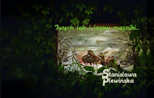 Stanisława Plewińska, "Twych łąk i lasów mazajki..." (oprawa twarda)