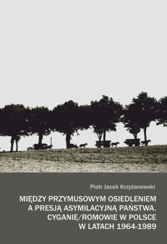 Między przymusowym osiedleniem_opr. tw..jpg